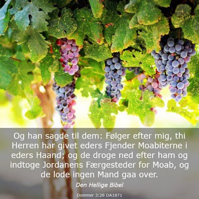 Picture 03 - Dommer 3:28 DA1871 - Og han sagde til dem: Følger efter mig, thi - Bible Verse Picture