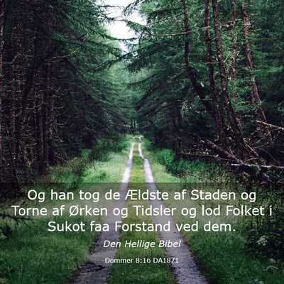 Picture 03 - Dommer 8:16 DA1871 - Og han tog de Ældste af Staden og Torne af - Bible Verse Picture