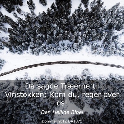 Picture 03 - Dommer 9:12 DA1871 - Da sagde Træerne til Vinstokken: Kom du, reger - Bible Verse Picture