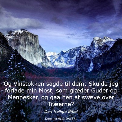 Picture 03 - Dommer 9:13 DA1871 - Og Vinstokken sagde til dem: Skulde jeg forlade - Bible Verse Picture