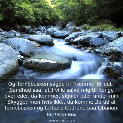 Picture 03 - Dommer 9:15 DA1871 - Og Tornebusken sagde til Træerne: Er det i - Bible Verse Picture