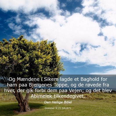 Picture 03 - Dommer 9:25 DA1871 - Og Mændene i Sikem lagde et Baghold for ham paa - Bible Verse Picture