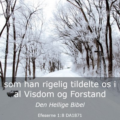 Picture 03 - Efeserne 1:8 DA1871 - som han rigelig tildelte os i al Visdom og - Bible Verse Picture