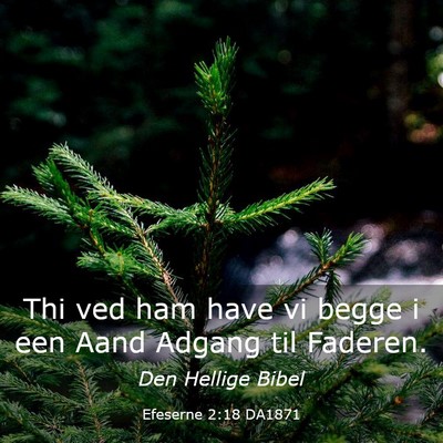 Picture 03 - Efeserne 2:18 DA1871 - Thi ved ham have vi begge i een Aand Adgang til - Bible Verse Picture