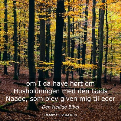 Picture 03 - Efeserne 3:2 DA1871 - om I da have hørt om Husholdningen med den Guds - Bible Verse Picture