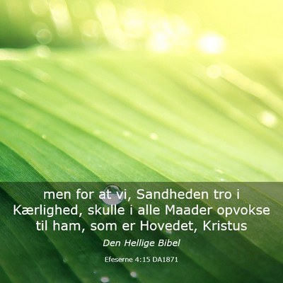 Picture 03 - Efeserne 4:15 DA1871 - men for at vi, Sandheden tro i Kærlighed, skulle - Bible Verse Picture