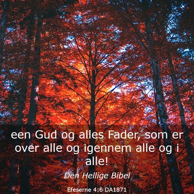 Picture 03 - Efeserne 4:6 DA1871 - een Gud og alles Fader, som er over alle og - Bible Verse Picture