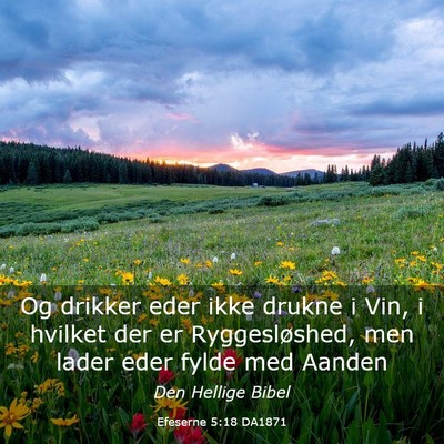 Picture 03 - Efeserne 5:18 DA1871 - Og drikker eder ikke drukne i Vin, i hvilket der - Bible Verse Picture