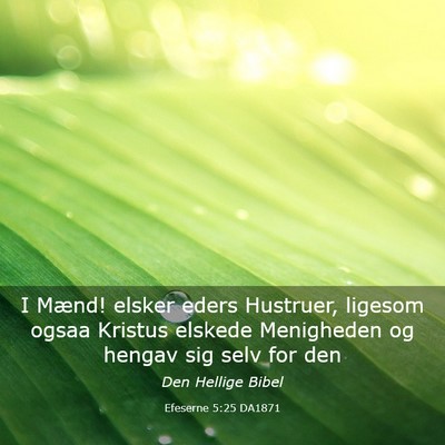Picture 03 - Efeserne 5:25 DA1871 - I Mænd! elsker eders Hustruer, ligesom ogsaa - Bible Verse Picture