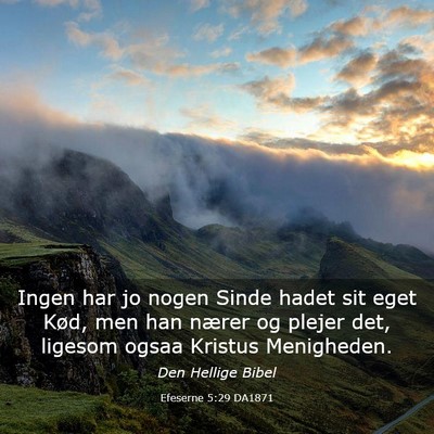 Picture 03 - Efeserne 5:29 DA1871 - Ingen har jo nogen Sinde hadet sit eget Kød, men - Bible Verse Picture