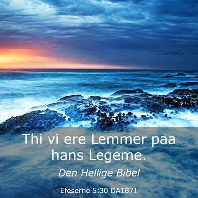 Picture 03 - Efeserne 5:30 DA1871 - Thi vi ere Lemmer paa hans - Bible Verse Picture