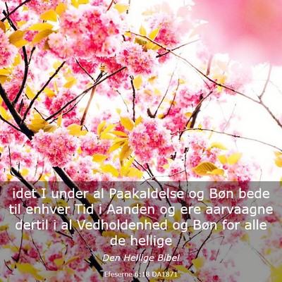 Picture 03 - Efeserne 6:18 DA1871 - idet I under al Paakaldelse og Bøn bede til - Bible Verse Picture
