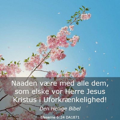 Picture 03 - Efeserne 6:24 DA1871 - Naaden være med alle dem, som elske vor Herre - Bible Verse Picture