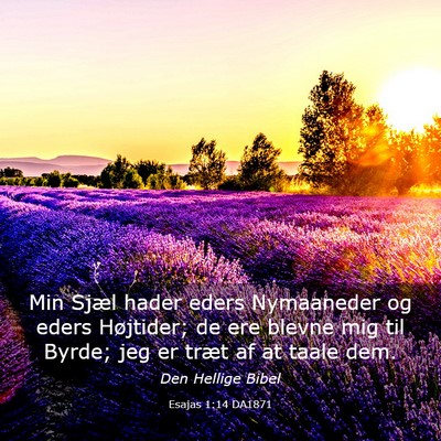 Picture 03 - Esajas 1:14 DA1871 - Min Sjæl hader eders Nymaaneder og eders - Bible Verse Picture