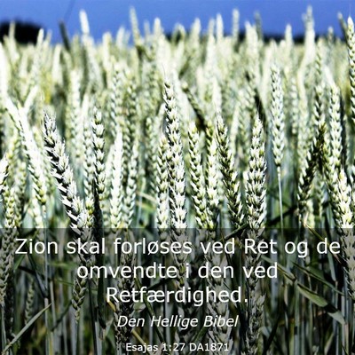 Picture 03 - Esajas 1:27 DA1871 - Zion skal forløses ved Ret og de omvendte i den - Bible Verse Picture