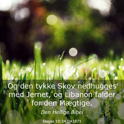Picture 03 - Esajas 10:34 DA1871 - Og den tykke Skov nedhugges med Jernet, og - Bible Verse Picture
