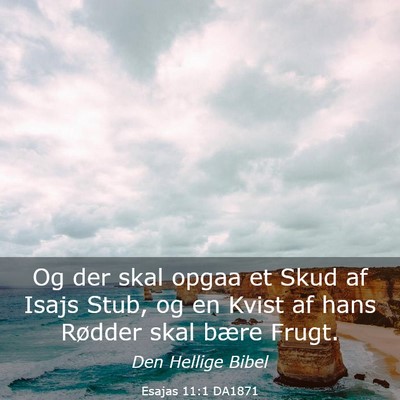 Picture 03 - Esajas 11:1 DA1871 - Og der skal opgaa et Skud af Isajs Stub, og en - Bible Verse Picture