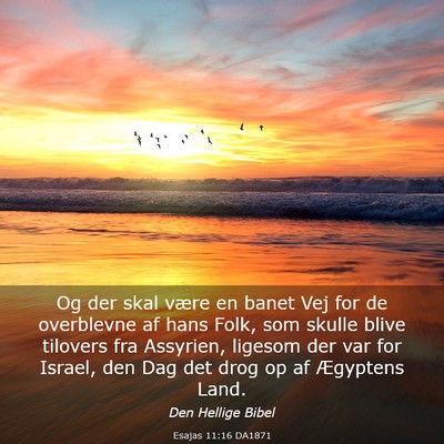 Picture 03 - Esajas 11:16 DA1871 - Og der skal være en banet Vej for de overblevne - Bible Verse Picture