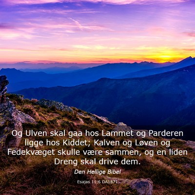 Picture 03 - Esajas 11:6 DA1871 - Og Ulven skal gaa hos Lammet og Parderen ligge - Bible Verse Picture