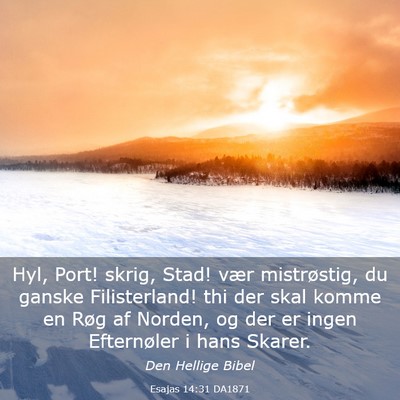 Picture 03 - Esajas 14:31 DA1871 - Hyl, Port! skrig, Stad! vær mistrøstig, du - Bible Verse Picture