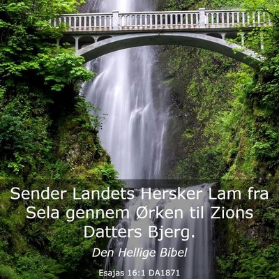 Picture 03 - Esajas 16:1 DA1871 - Sender Landets Hersker Lam fra Sela gennem Ørken - Bible Verse Picture