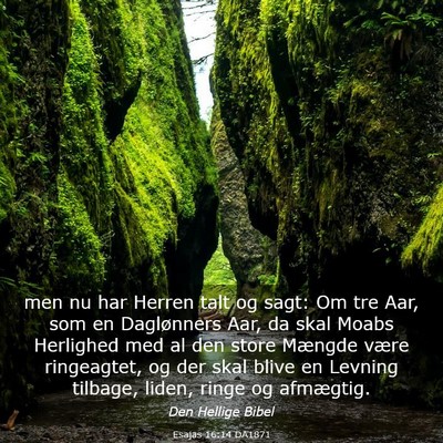 Picture 03 - Esajas 16:14 DA1871 - men nu har Herren talt og sagt: Om tre Aar, som - Bible Verse Picture