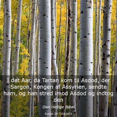 Picture 03 - Esajas 20:1 DA1871 - I det Aar, da Tartan kom til Asdod, der Sargon, - Bible Verse Picture