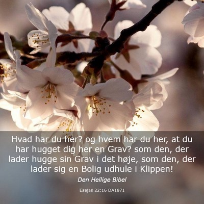 Picture 03 - Esajas 22:16 DA1871 - Hvad har du her? og hvem har du her, at du har - Bible Verse Picture
