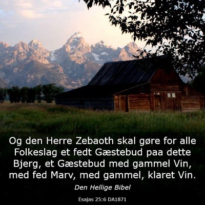 Picture 03 - Esajas 25:6 DA1871 - Og den Herre Zebaoth skal gøre for alle - Bible Verse Picture