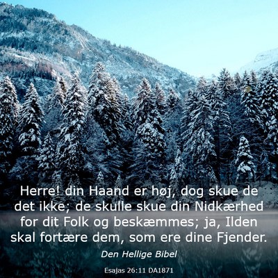 Picture 03 - Esajas 26:11 DA1871 - Herre! din Haand er høj, dog skue de det ikke; - Bible Verse Picture