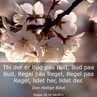 Picture 03 - Esajas 28:10 DA1871 - Thi der er Bud paa Bud, Bud paa Bud, Regel paa - Bible Verse Picture
