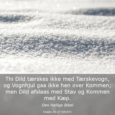 Picture 03 - Esajas 28:27 DA1871 - Thi Dild tærskes ikke med Tærskevogn, og - Bible Verse Picture