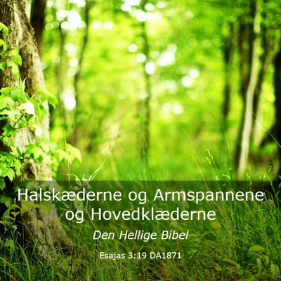 Picture 03 - Esajas 3:19 DA1871 - Halskæderne og Armspannene og - Bible Verse Picture