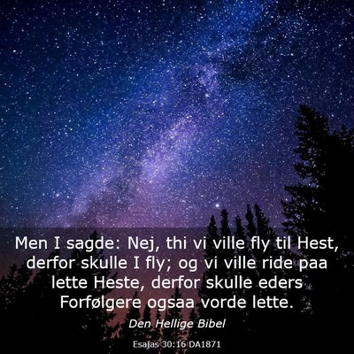 Picture 03 - Esajas 30:16 DA1871 - Men I sagde: Nej, thi vi ville fly til Hest, - Bible Verse Picture