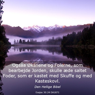 Picture 03 - Esajas 30:24 DA1871 - Ogsaa Øksnene og Folerne, som bearbejde Jorden, - Bible Verse Picture