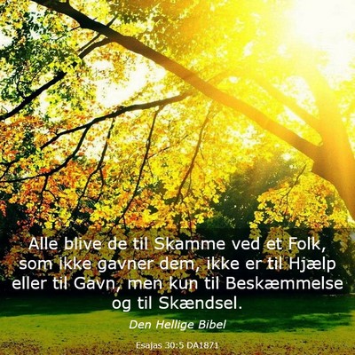 Picture 03 - Esajas 30:5 DA1871 - Alle blive de til Skamme ved et Folk, som ikke - Bible Verse Picture