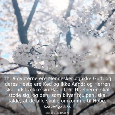 Picture 03 - Esajas 31:3 DA1871 - Thi Ægypterne ere Mennesker og ikke Gud, og - Bible Verse Picture