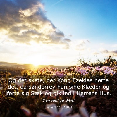 Picture 03 - Esajas 37:1 DA1871 - Og det skete, der Kong Ezekias hørte det, da - Bible Verse Picture