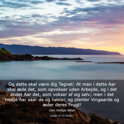 Picture 03 - Esajas 37:30 DA1871 - Og dette skal være dig Tegnet: At man i dette - Bible Verse Picture