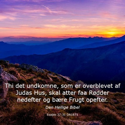 Picture 03 - Esajas 37:31 DA1871 - Thi det undkomne, som er overblevet af Judas Hus, - Bible Verse Picture