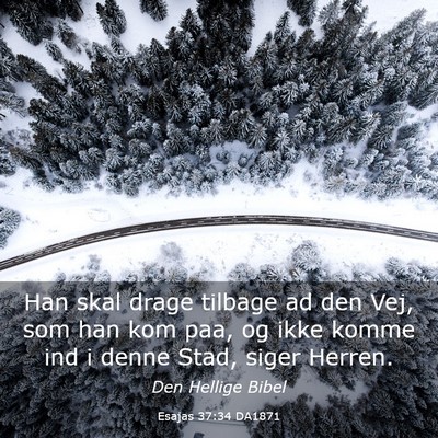 Picture 03 - Esajas 37:34 DA1871 - Han skal drage tilbage ad den Vej, som han kom - Bible Verse Picture