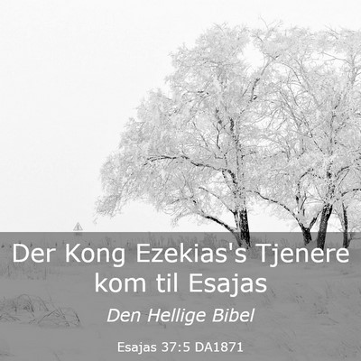 Picture 03 - Esajas 37:5 DA1871 - Der Kong Ezekias's Tjenere kom til - Bible Verse Picture
