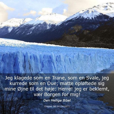 Picture 03 - Esajas 38:14 DA1871 - Jeg klagede som en Trane, som en Svale, jeg - Bible Verse Picture
