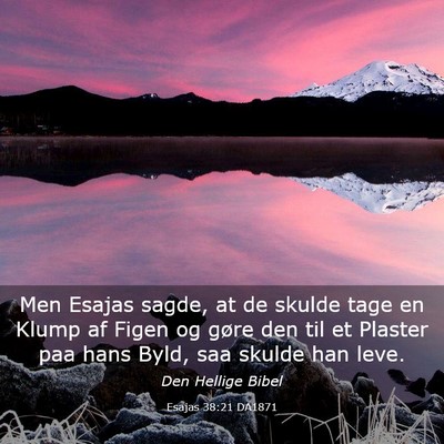Picture 03 - Esajas 38:21 DA1871 - Men Esajas sagde, at de skulde tage en Klump af - Bible Verse Picture