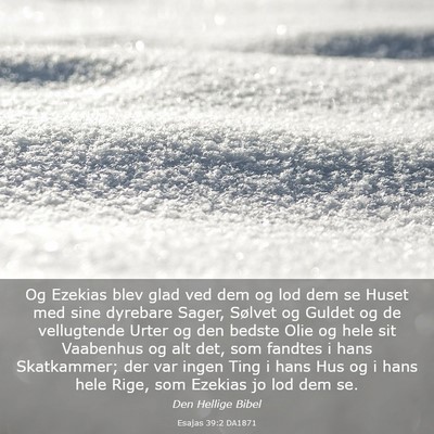 Picture 03 - Esajas 39:2 DA1871 - Og Ezekias blev glad ved dem og lod dem se Huset - Bible Verse Picture