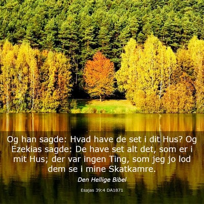 Picture 03 - Esajas 39:4 DA1871 - Og han sagde: Hvad have de set i dit Hus? Og - Bible Verse Picture