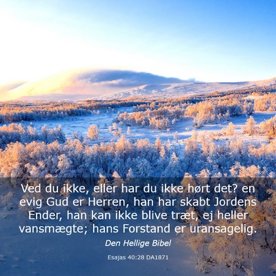 Picture 03 - Esajas 40:28 DA1871 - Ved du ikke, eller har du ikke hørt det? en evig - Bible Verse Picture