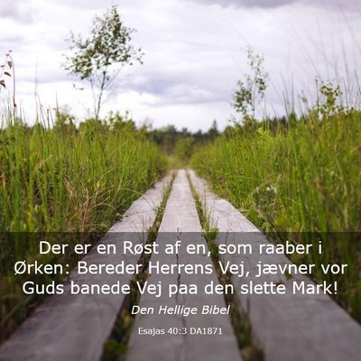 Picture 03 - Esajas 40:3 DA1871 - Der er en Røst af en, som raaber i Ørken: - Bible Verse Picture