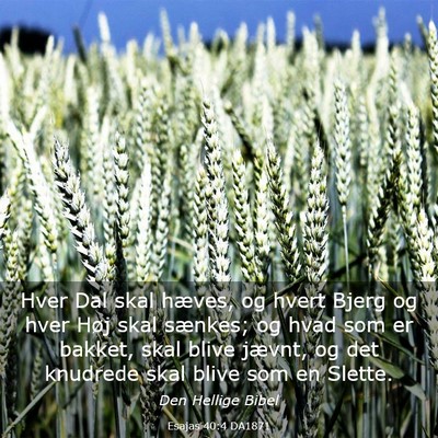 Picture 03 - Esajas 40:4 DA1871 - Hver Dal skal hæves, og hvert Bjerg og hver Høj - Bible Verse Picture