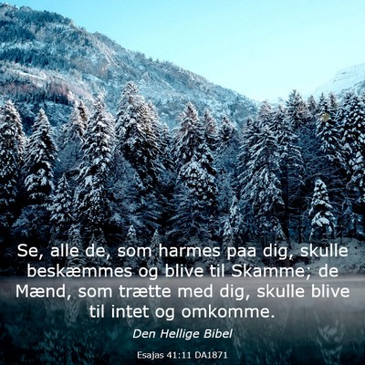 Picture 03 - Esajas 41:11 DA1871 - Se, alle de, som harmes paa dig, skulle - Bible Verse Picture